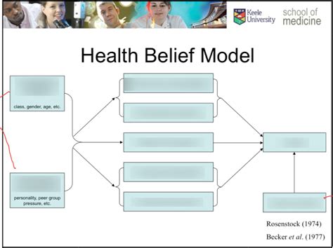 Health Belief Model Diagram | Quizlet