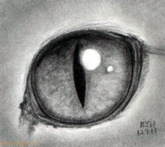 How to Draw a Cat Eye - FinalProdigy.com | Cat eyes drawing, Eye art ...