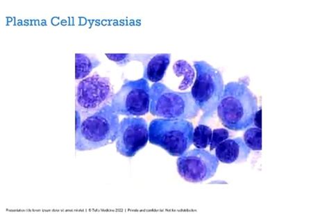 Plasma Cell Disorders Flashcards | Quizlet