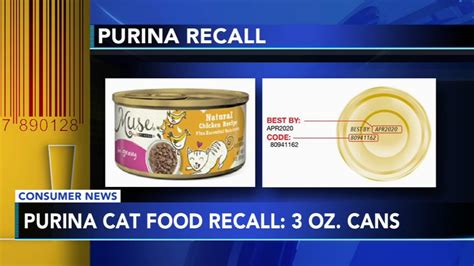 Purina cat food recalled due to potential presence of rubber - 6abc ...