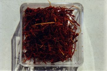 Saffron, Saffron Crocus Edible Plant