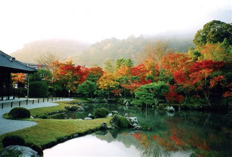 Arashiyama bamboo groves - Kyoto, Japan ~ travell and culture