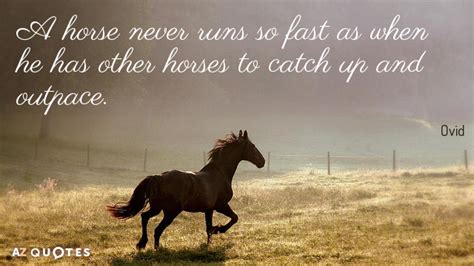 Ovid Quotes About Horses | A-Z Quotes