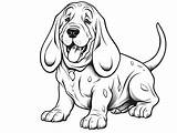 Incredible Basset Hound Coloring  Page sketch template