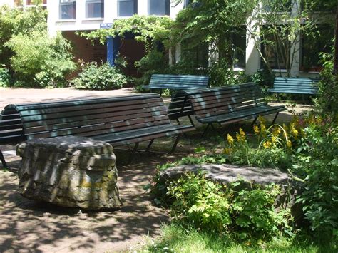 wooden benches in small park between houses