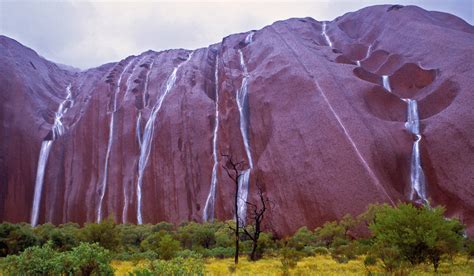 Uluru Waterfalls – Exuberant Witness