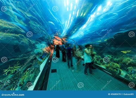 Aquarium in Dubai Mall, World S Largest Shopping Mall Editorial Image ...