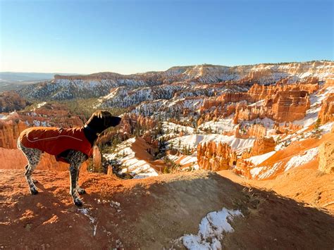 Bryce Canyon National Park – a guide for visiting with your dog | All ...