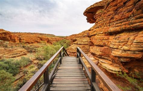 Northern Territories' Watarrka National Park: An Explorer's Guide