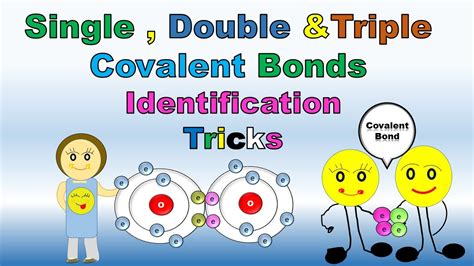 Different Types of Covalent Bonds | Single, Double and Triple Bond Examples |Chemical bond ...