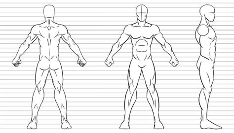 Character Design Base-Male | Character reference sheet, Character model ...