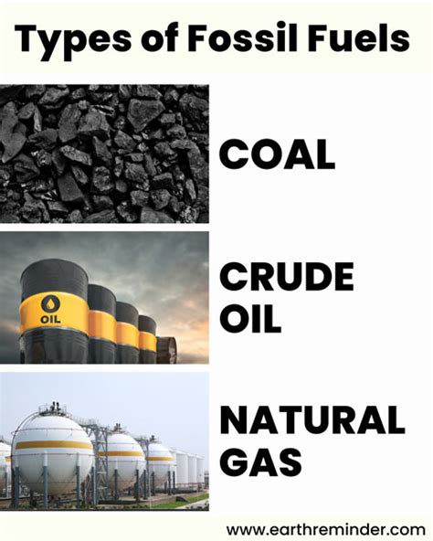 Fossil Fuels: Types, Uses, Pros and Cons | Earth Reminder | Fossil ...