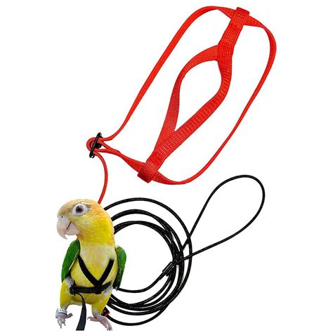 Parrot Harness and Leash Flying Anti-bite Traction Rope bird Training Outdoor Carrying for ...