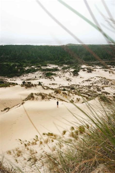 Your Adventure Guide to The Oregon Dunes - Oregon is for Adventure