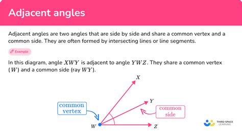 Adjacent Angles - Definition, Examples & Practice Questions