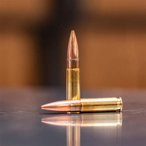 3 Reasons to Love Subsonic Ammunition | OutdoorHub