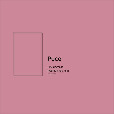 Puce Complementary or Opposite Color Name and Code (#CC8899) - colorxs.com