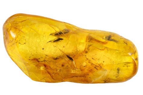 Detailed Fossil Bristletail (Machilidae) In Baltic Amber (#105454) For Sale - FossilEra.com