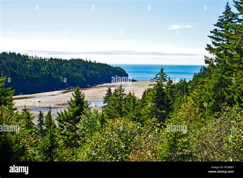 Canada, New Brunswick, Alma, Fundy National Park, Point Wolfe, hiking, camping, recreation ...