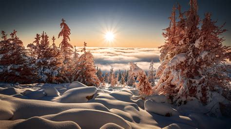 Beautiful Winter Scenery Frozen Trees Fog Sunlight Blue Sky Background ...