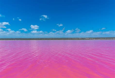 7 Pink Lakes in Australia that everyone must visit once - KAYAK