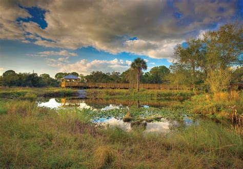 Conservancy of Southwest Nature Center Naples, Florida | Must Do ...