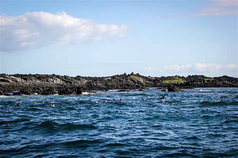 AdventureSmithExplorations.com Cruises to Galapagos Islands - GalapagosInformation.com Blog