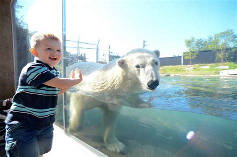 A Day at the Buffalo Zoo - Visit Buffalo Niagara