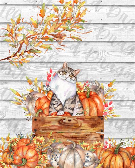 Autumn Fall Cat With Pumpkins Printable Instant Digital Download Clip ...