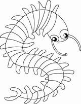 Millipede Coloring Pages sketch template