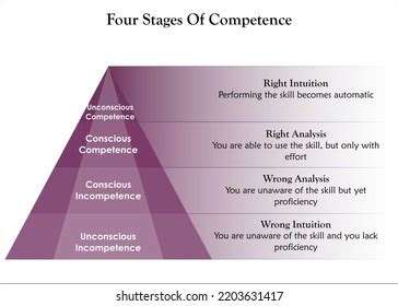 Four Stages Of Competence Photos, Images & Pictures | Shutterstock