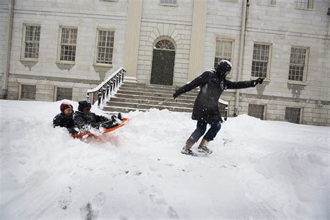 020514_snow_features_0371.jpg – Harvard Gazette