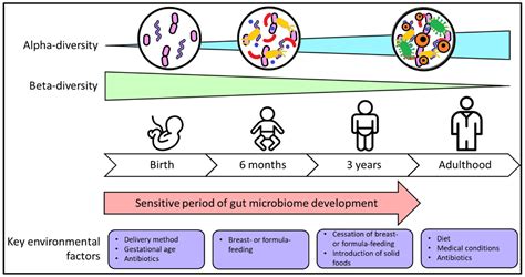 Microorganisms | Free Full-Text | Risk Factors for Gut Dysbiosis in Early Life