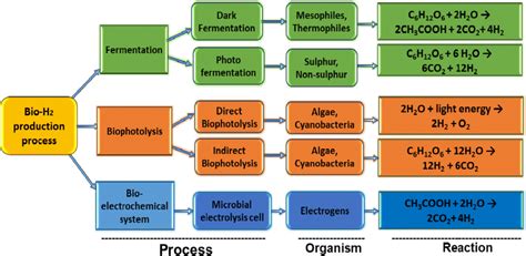 Where Does Hydrogen Come From? Hydrogen Production Methods - WHA ...