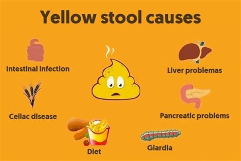 Why Does Salmon Turn Stool Yellow? | FikaCafe.net