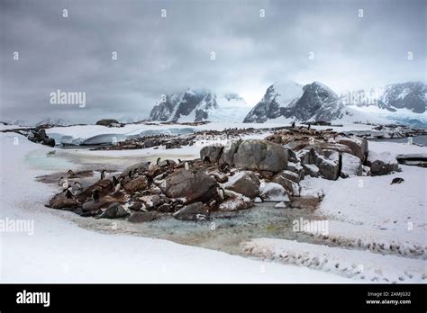 Peterman Island, Antarctic Peninsula, Antarctica Stock Photo - Alamy