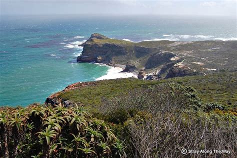 Cape Point Nature Reserve - Stray Along The Way