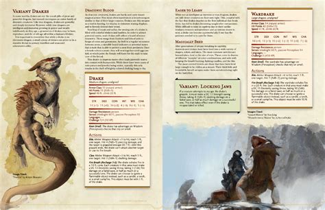 Pin by Chris W on D&D | Dungeons and dragons homebrew, D&d dungeons and dragons, Dnd dragons