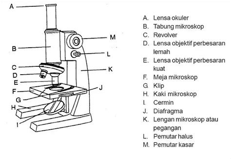 Gambar Mikroskop Dan Fungsi Nya – bonus