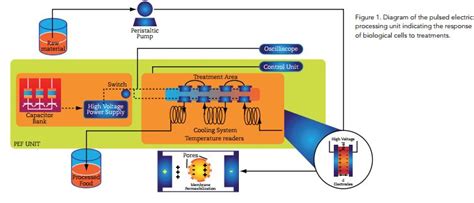 Pulsed Electric Fields in Food Production | The Dairy Site