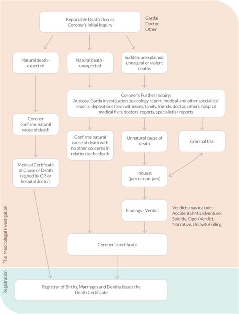 The Coronial Death Investigation Process | Download Scientific Diagram