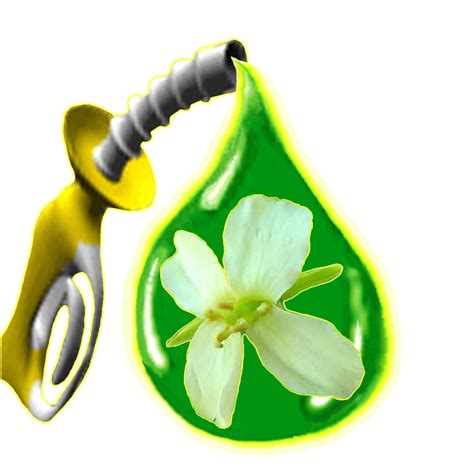 Biofuel Facts | Renewable Energy