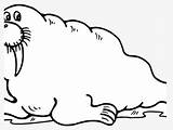 Coloring Page Of A Walrus  Free Transparent Clipart ClipartKey sketch template