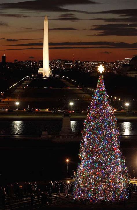 Visit the Capitol Christmas Tree This Holiday Season | Christmas tree ...