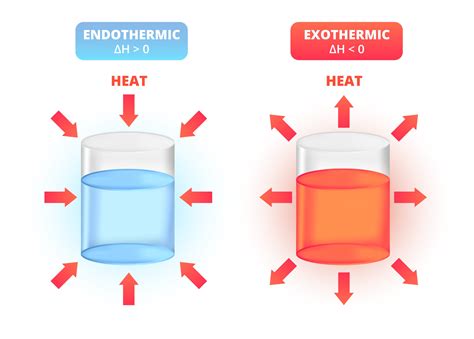 Endothermic And Exothermic Reaction Examples