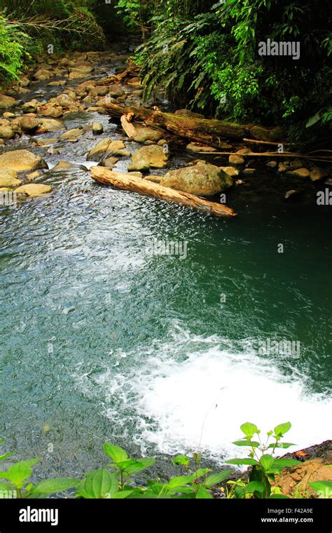 Seven Sisters waterfall hike in the Grand Etang National Park in St ...