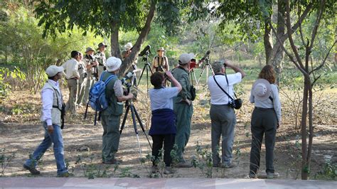 North India Birding | North India Birdwatching Tours