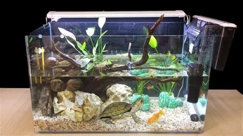 DIY Turtle Aquarium Fish Tank Setup - How To Make Turtle Tank At Home ...