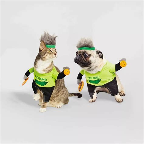 Target Is Selling The Cutest Pet Halloween Costumes We've Ever Seen