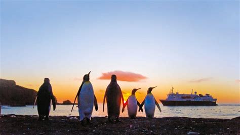 Meet Lindblad Expeditions – Chris Cruises